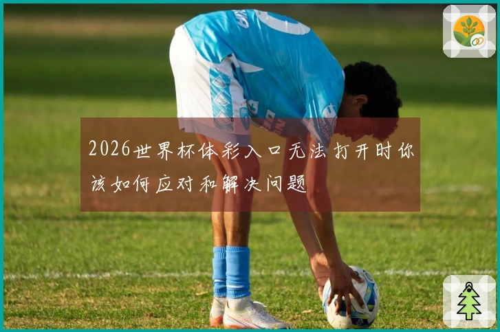 2026世界杯体彩入口无法打开时你该如何应对和解决问题