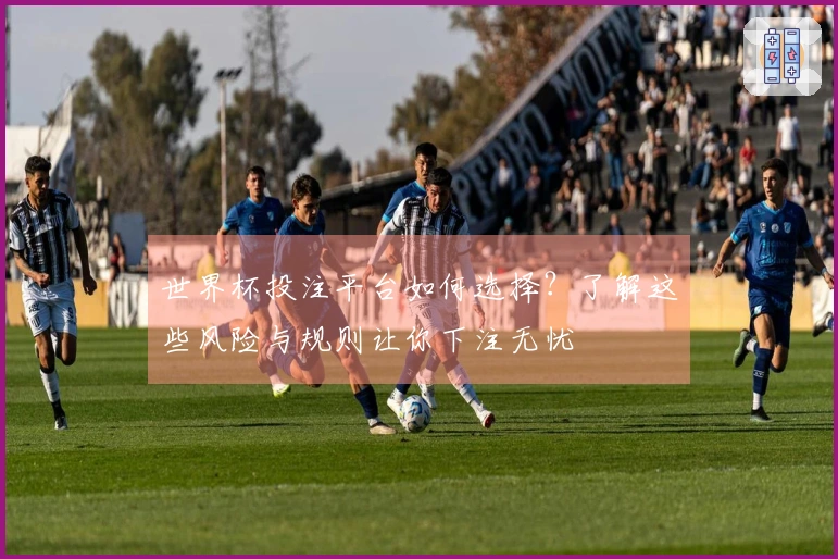 世界杯投注平台如何选择？了解这些风险与规则让你下注无忧