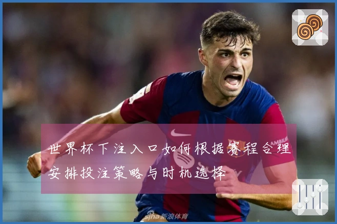 世界杯下注入口如何根据赛程合理安排投注策略与时机选择
