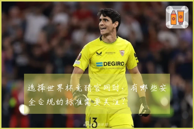 选择世界杯竞猜官网时，有哪些安全合规的标准需要关注？