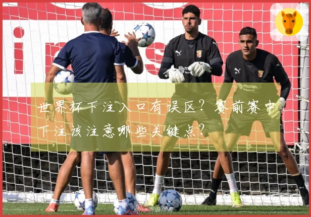 世界杯下注入口有误区？赛前赛中下注该注意哪些关键点？