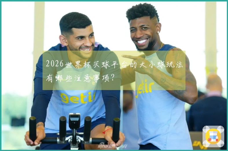2026世界杯买球平台的大小球玩法有哪些注意事项？