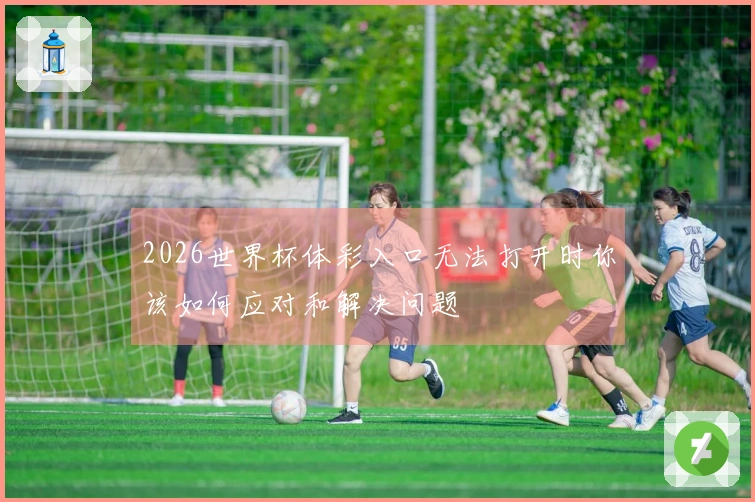 2026世界杯体彩入口无法打开时你该如何应对和解决问题