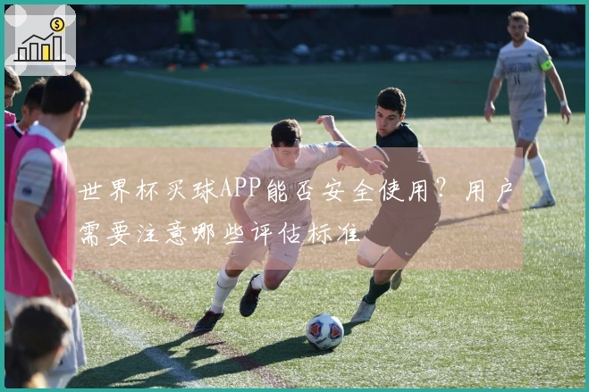 世界杯买球APP能否安全使用？用户需要注意哪些评估标准