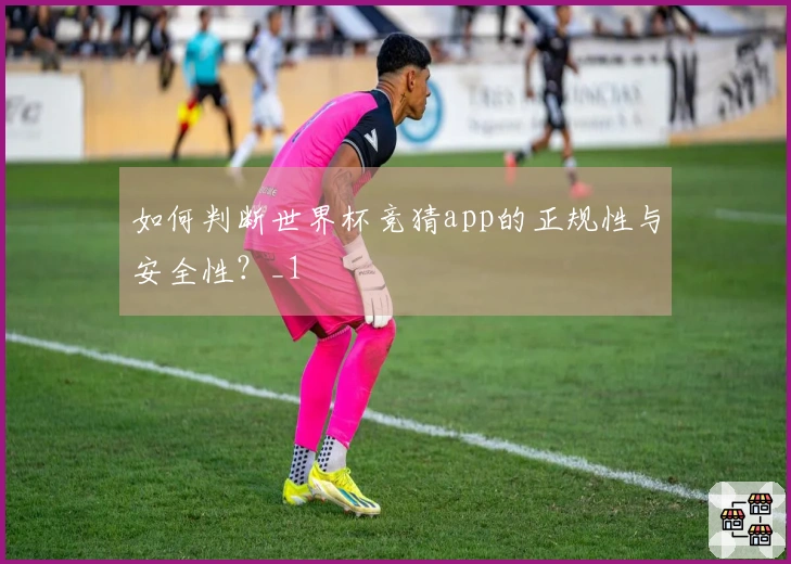 如何判断世界杯竞猜app的正规性与安全性？_1