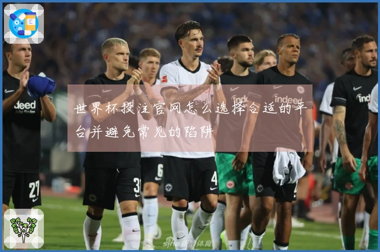 世界杯投注官网怎么选择合适的平台并避免常见的陷阱