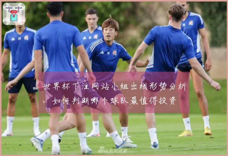 世界杯下注网站小组出线形势分析，如何判断哪个球队最值得投资