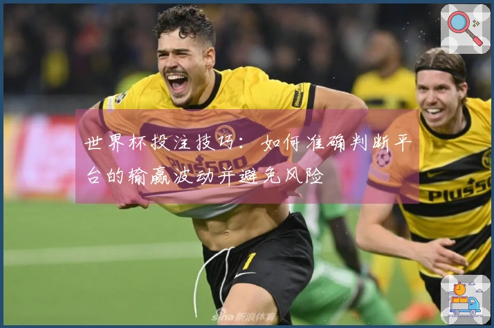 世界杯投注技巧：如何准确判断平台的输赢波动并避免风险
