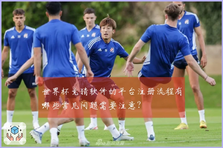 世界杯竞猜软件的平台注册流程有哪些常见问题需要注意？