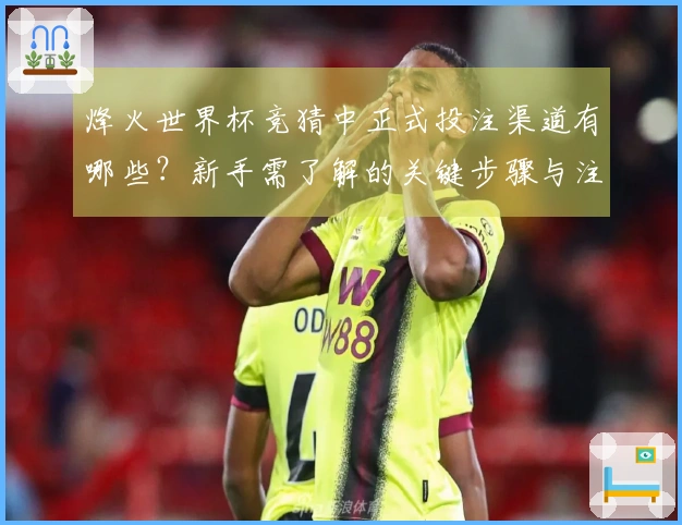 烽火世界杯竞猜中正式投注渠道有哪些？新手需了解的关键步骤与注意事项