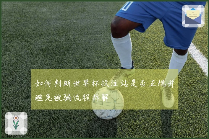 如何判断世界杯投注站是否正规并避免被骗流程拆解