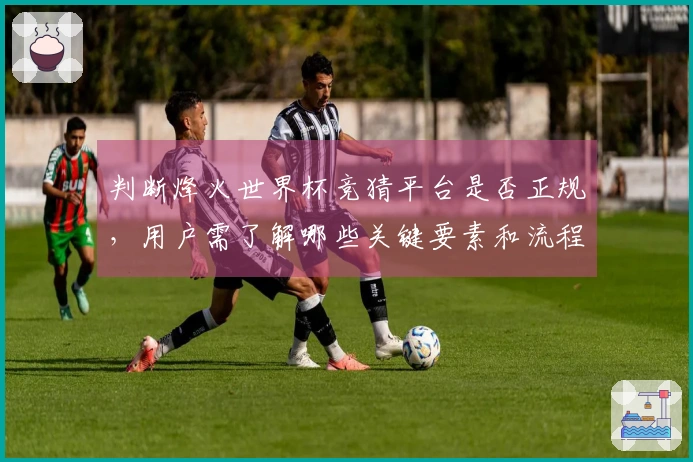 判断烽火世界杯竞猜平台是否正规，用户需了解哪些关键要素和流程？
