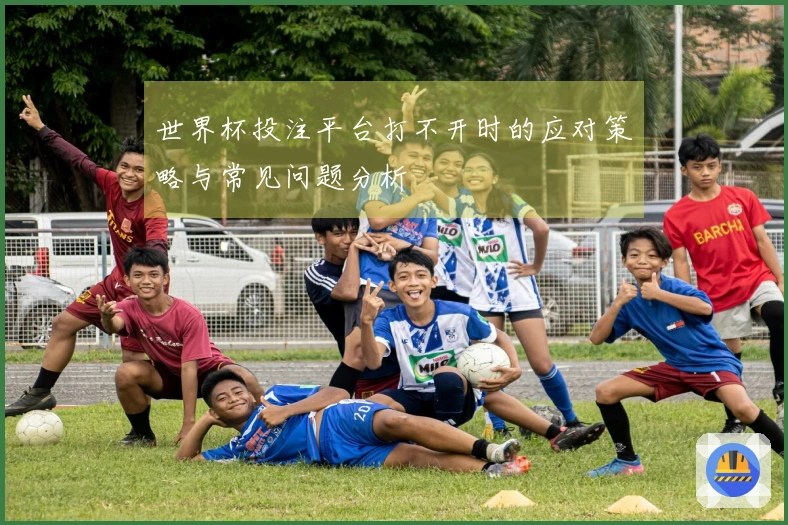 世界杯投注平台打不开时的应对策略与常见问题分析
