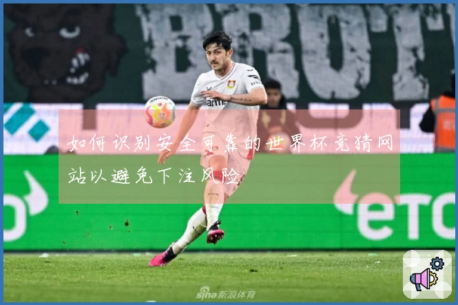 如何识别安全可靠的世界杯竞猜网站以避免下注风险