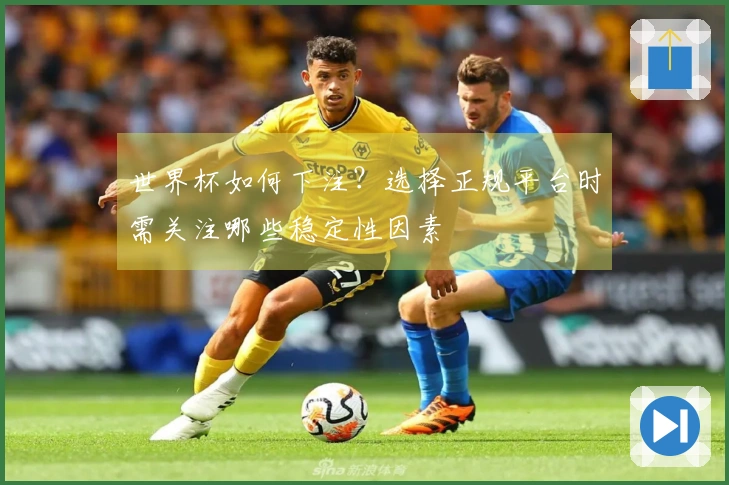 世界杯如何下注？选择正规平台时需关注哪些稳定性因素