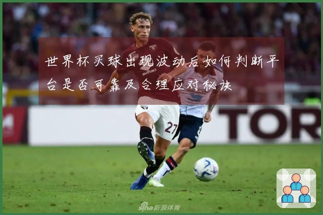 世界杯买球出现波动后如何判断平台是否可靠及合理应对秘诀