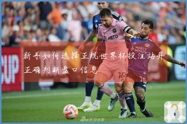 新手如何选择正规世界杯投注站并正确判断盘口信息