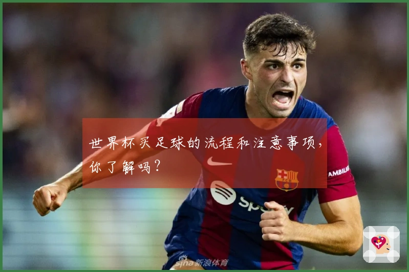 世界杯买足球的流程和注意事项，你了解吗？