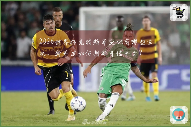 2026世界杯竞猜赔率变化有哪些玄机，新手该如何判断可信平台？