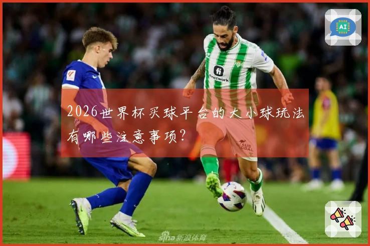 2026世界杯买球平台的大小球玩法有哪些注意事项？